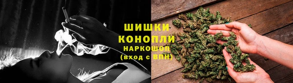 ГАЛЛЮЦИНОГЕННЫЕ ГРИБЫ Иннополис