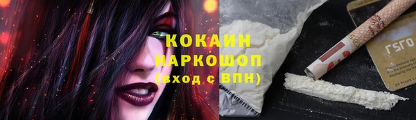 СК Инсар