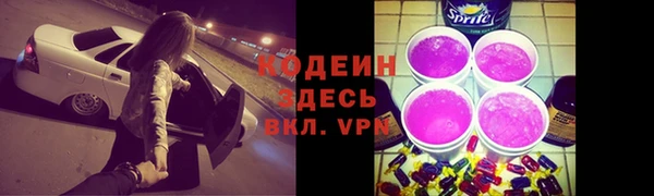 СК Инсар