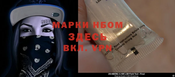 ГАЛЛЮЦИНОГЕННЫЕ ГРИБЫ Иннополис