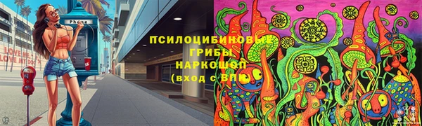метадон Инта