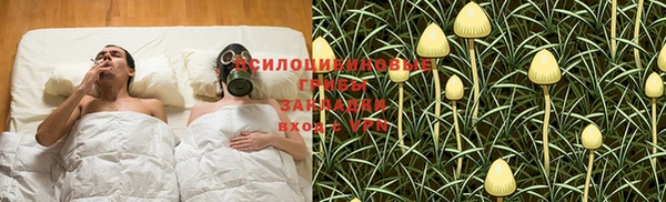 метадон Инта