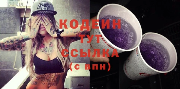 метадон Инта