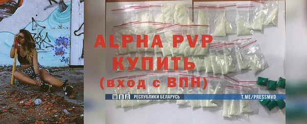 СК Инсар