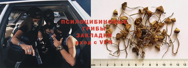 СК Инсар